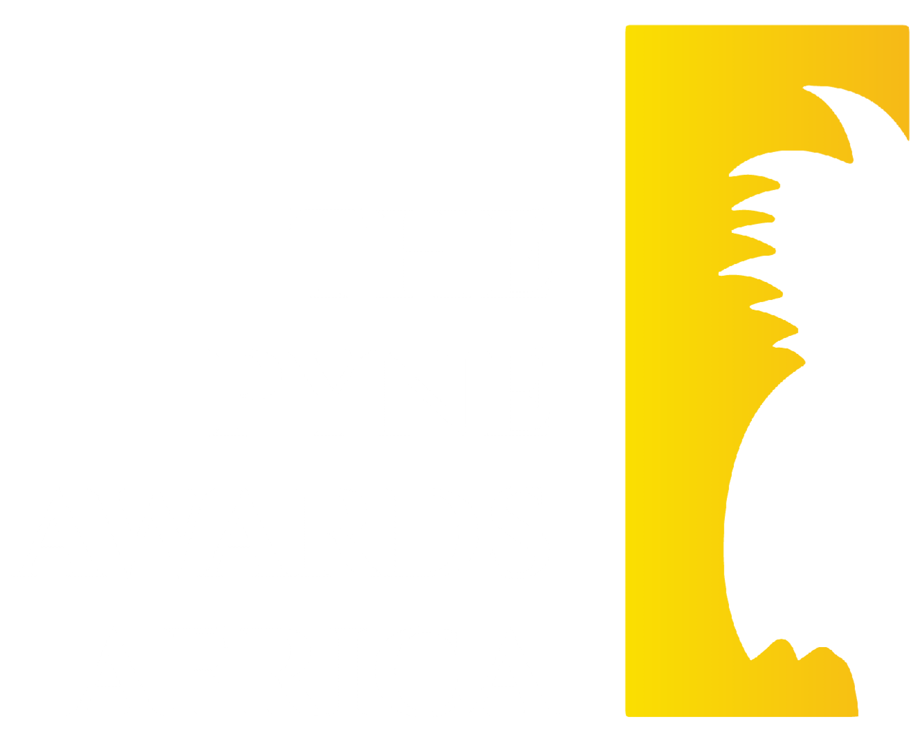The Pyne Awards Africa