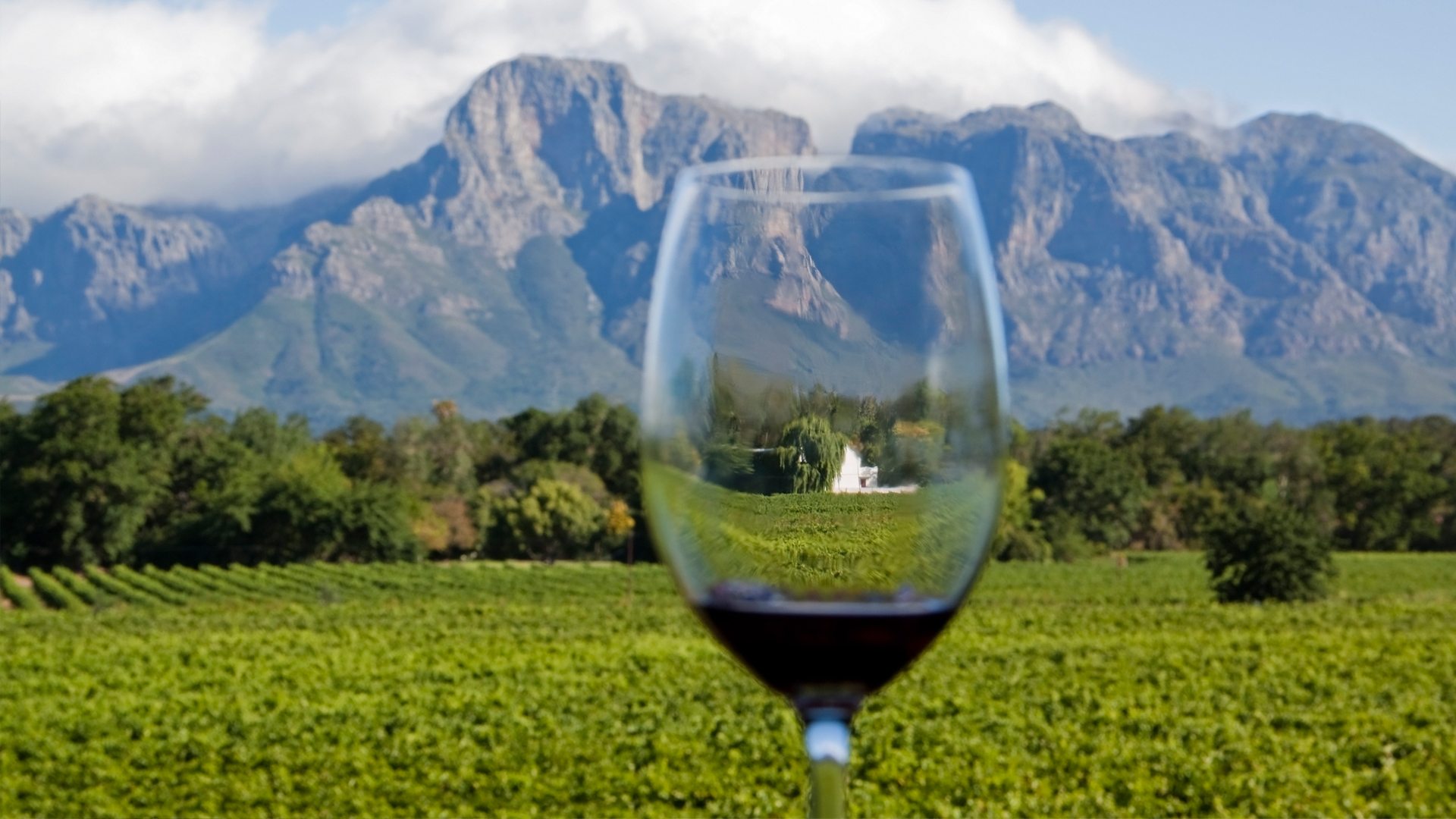 Cape Town & The Winelands