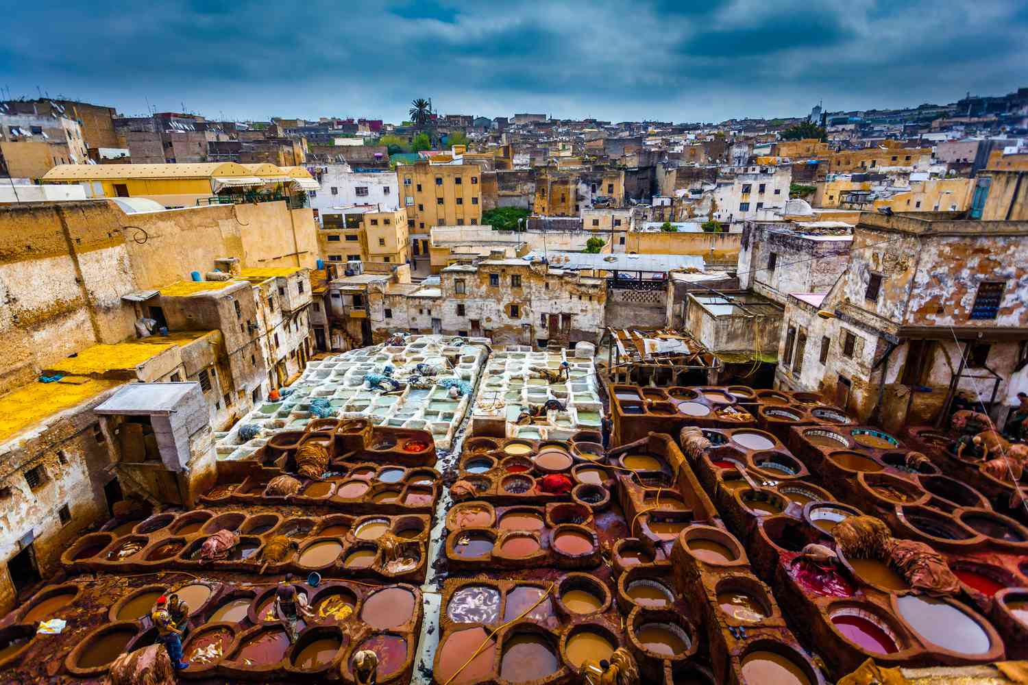 Fez Medina & Imperial Heritage