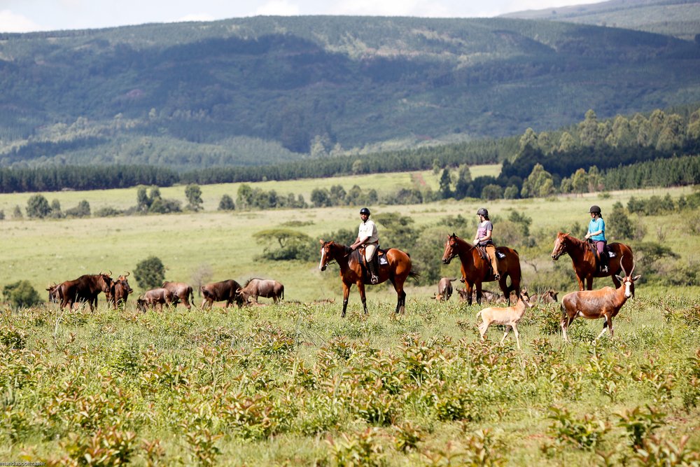 Mlilwane Wildlife Sanctuary