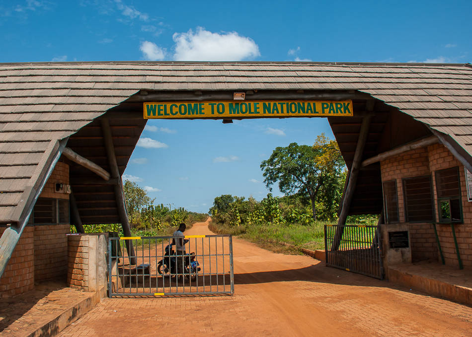 Mole National Park & The North