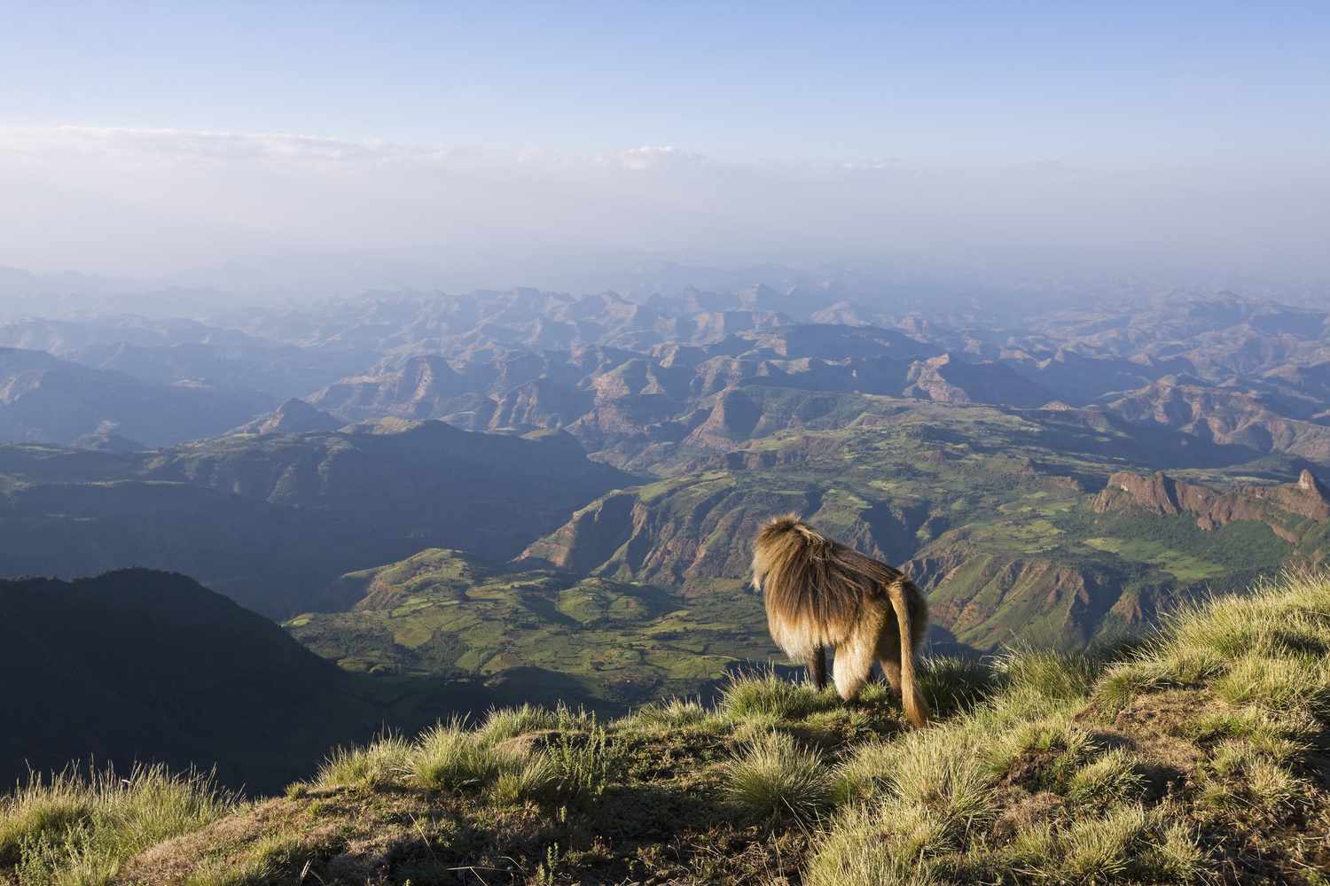 Simien Mountains National Park