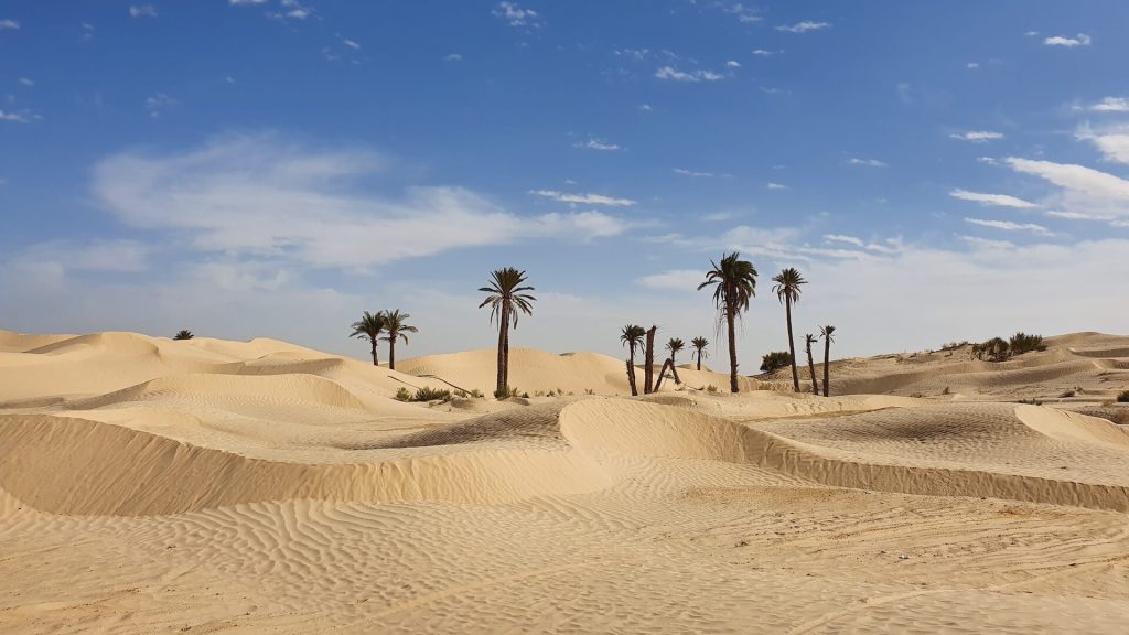 The Sahara Desert