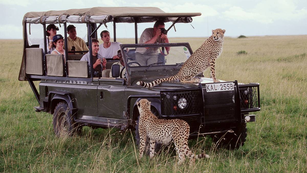 Masai Mara